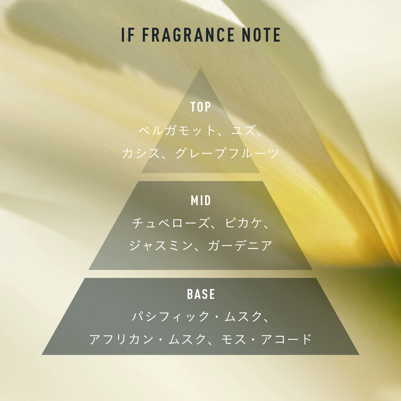 オーデパフューム "IF" 50ml