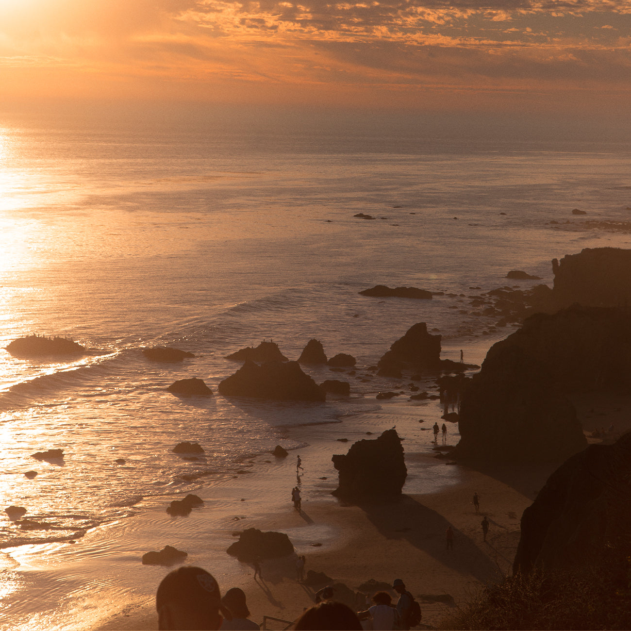 アロマティックタグ "THE CALIFORNIA"